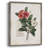 Pervenche Framed Print - Solid Wood-882092772
