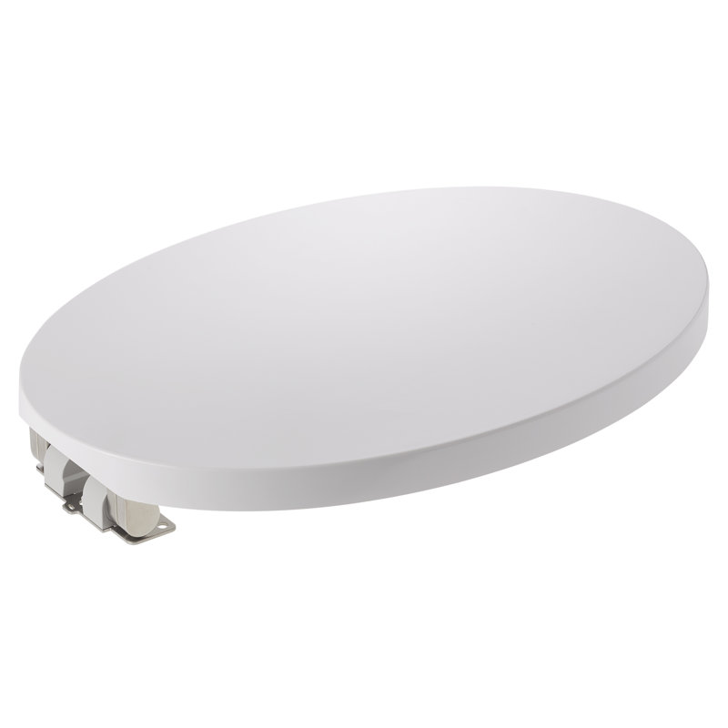 Elongated Toilet Seat