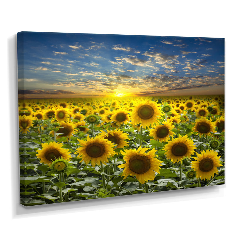 Champ de tournesols en fleurs - reproduction d'art sur bois massif, H 8 po x l 12 po, Toile tendue, Sans cadre