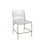 Penelope Side Chair in Clear