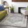 Wymore Oriental Indoor Rug