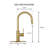 Pull Down Kitchen Faucet with Single Handle and Deck Plate-70944582
