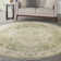 Haydel Machine Washable Area Rug in Ivory