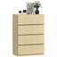 55cm W 4 - Drawer Chest of Drawers-1692918625