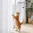 NICETOWN Non-See-Through Off Sheer Curtains 2 Panels, Privacy Rod Pocket & Back Tab Window Treatments Light Filtering for Living Room/Bedroom-1500151801-1500151805