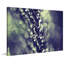 Droplets - Wrapped Canvas Print-16098819