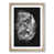 Oak Framed selected