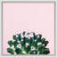Cacti On Pink 2 Print by Mat Sanders