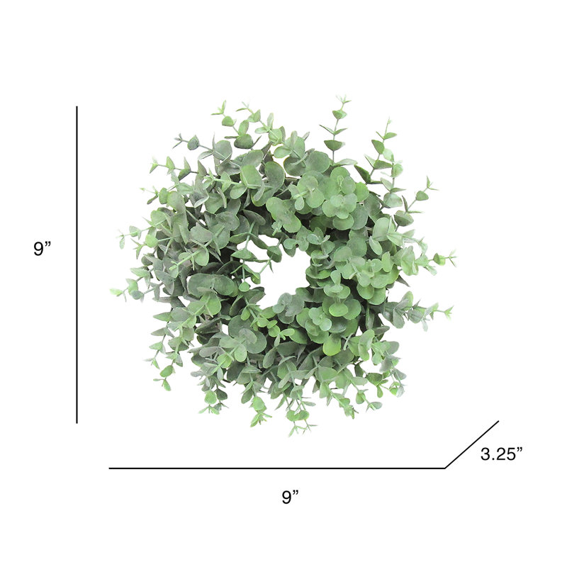 Couronne en plastique givrée 9 po feuille d'eucalyptus