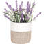 Panier mural suspendu en corde de coton 2 pièces avec poignée, paniers de rangement suspendus, panier de rangement pour paniers de rangement-2109764684