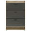 Kyla Grey 3-tier Engineered Wood Shoe Cabinet
