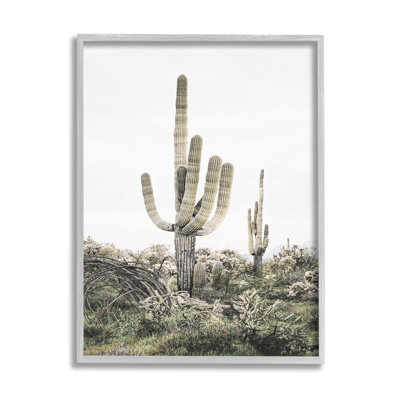 «Stupell Industries Desert Landscape Cacti», art mural sur toile par Sissi et Seb