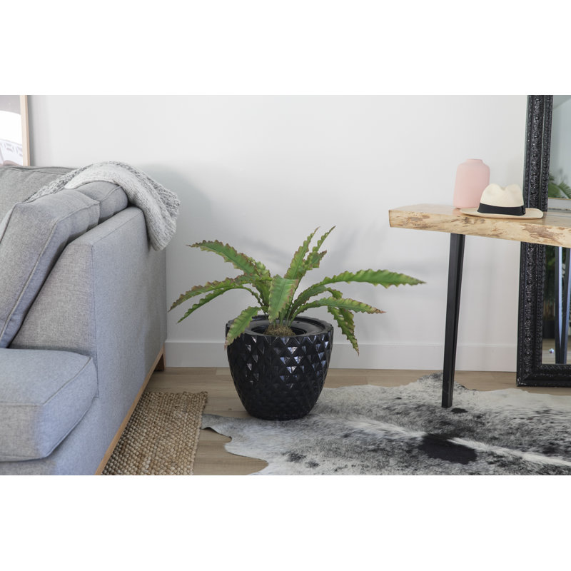 Plante grasse artificielle Bragdon en pot