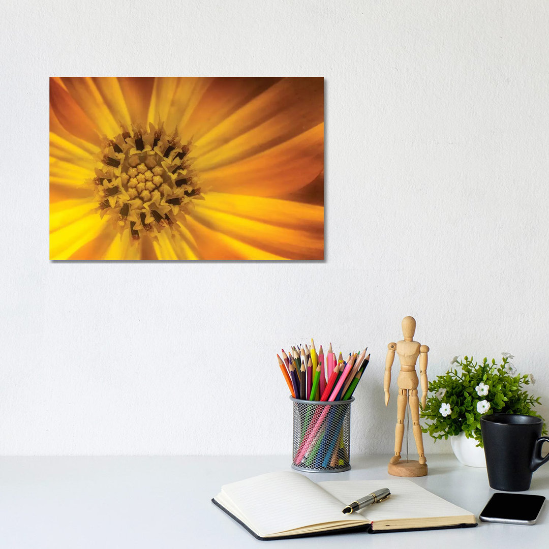 Sunflower by Glauco Meneghelli - Wrapped Canvas Print