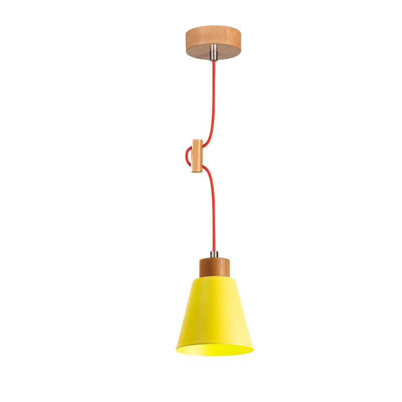 Luminaire suspendu en forme de cloche à 1 lumière Levin