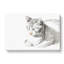 Cat At Peace by Jean Bernard - Wrapped Canvas Print-55371165