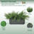 Asparagus Fern In Sandy Black Rectangular Ceramic-1360686082
