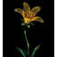 Piquet de jardin Narelle-46833397