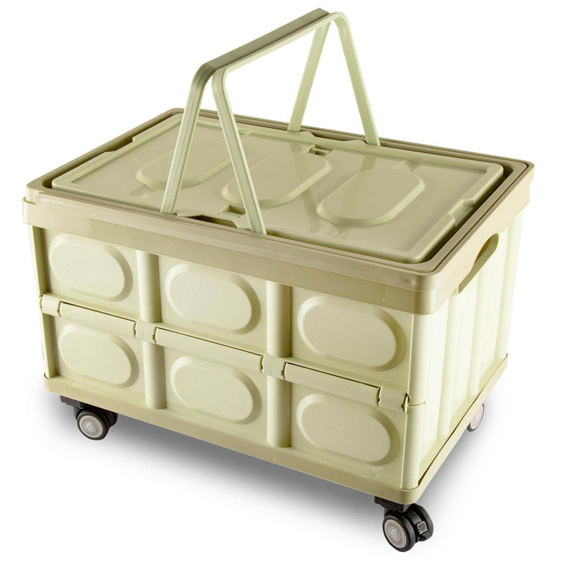 Rebrilliant Plastic Storage Tub & Tote, Green