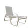 Holna Outdoor Rust-Resistant Metal Chaise Lounge