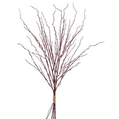 Twig Arrangement