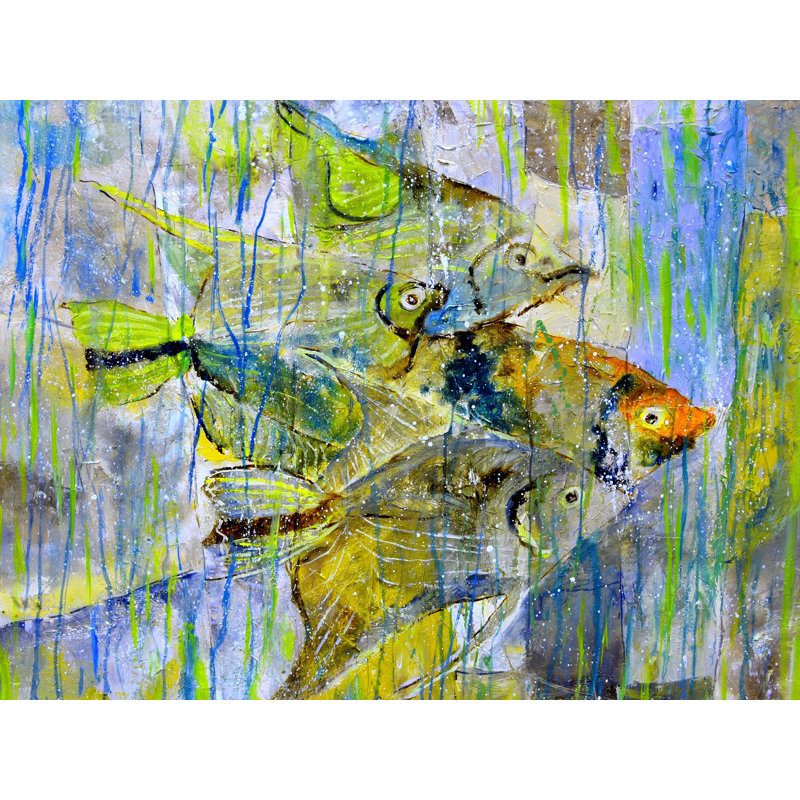 Angelfish Print by Pol Ledent, 24" H x 32" W