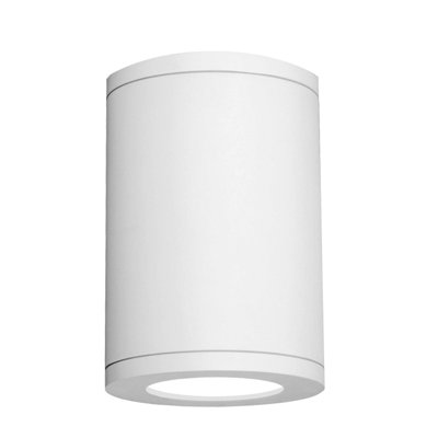 Tube 1-Light Architectural Ceiling Mount
