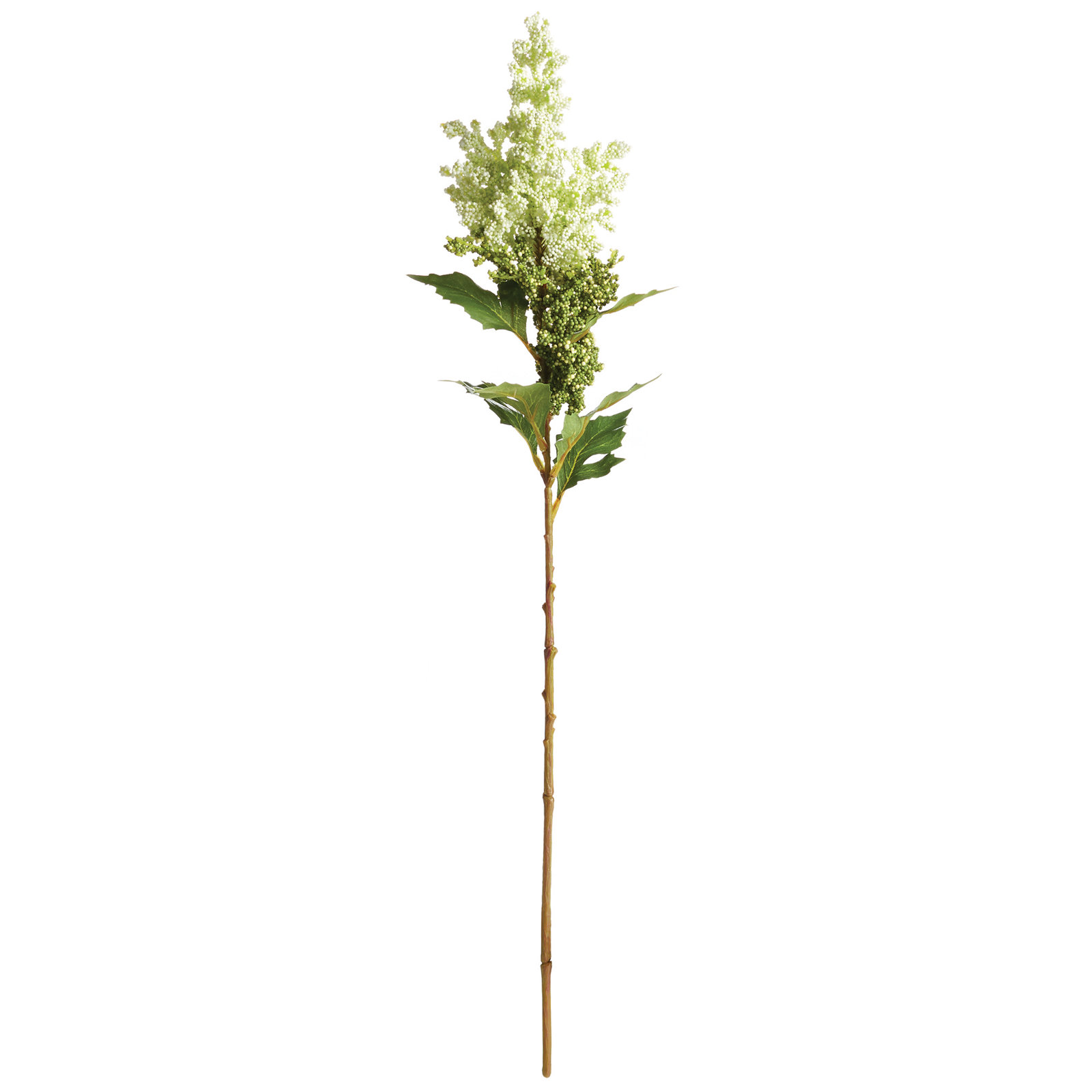 MINI BERRIES STEM 24", White