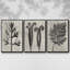 Blossfeldt Botanical I 3 pièces-97758452-97758453