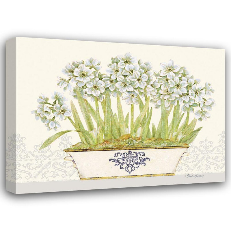 «Lark Manor ™ Gladding», art sur toile tendue par Pamela Gallery: Imperial Narcissus horizontal, H 36 po x l 46 po
