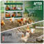 Chicken Egg Incubator-803292205-803292207