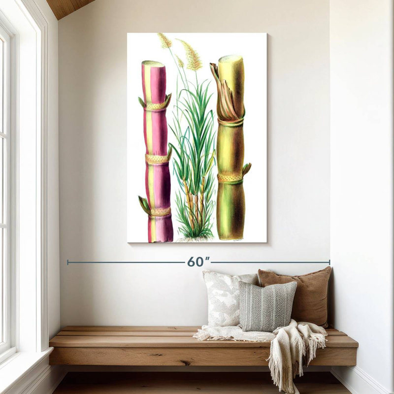 Harnek Sugarcane Stalks, 48" H x 32" W
