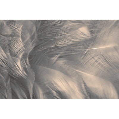 Black And White Background - Wrapped Canvas Print