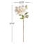 Tige de dahlia 21,5 po-197668275
