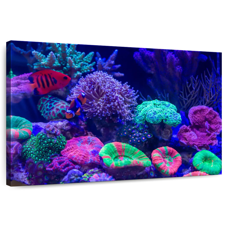 Coral Homes For The Fishes, 26" H x 39" W