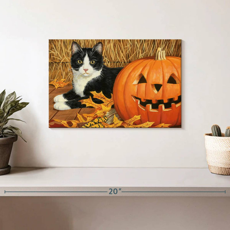 Citrouille d'Halloween et chaton, H 8 po x l 12 po