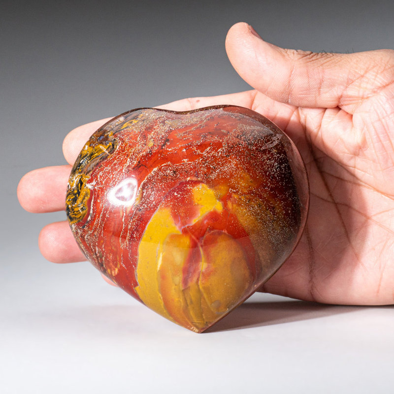 Petrified Wood Heart Cloche (0.88 Lbs)