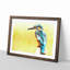 Blue Kingfisher Painting - Single Picture Frame Print on MDF-56633874-56633876