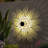 2 Pack Solar Fence Lights Metal Solar Powered Outdoor Waterproof Wall Deck Step Lights For Garden