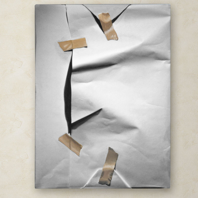 White Wrap Canvas Art by Roderick Stevens, 19" x 19"