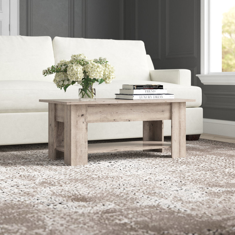 Ajeem Rectangular Lift Top Coffee Table with Storage, White, 16.5" H x 39" L x 20" W