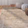 Evanoff Taupe Area Rug