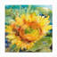 Décoration murale «Sun Shower» Macmillan Annelein Beukenkamp-446084927