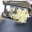DEISS Stainless Steel Garlic Press