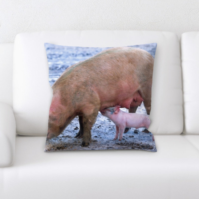 Microsuede Reversible Throw Pillow