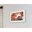 Single Picture Frame Print-20133770