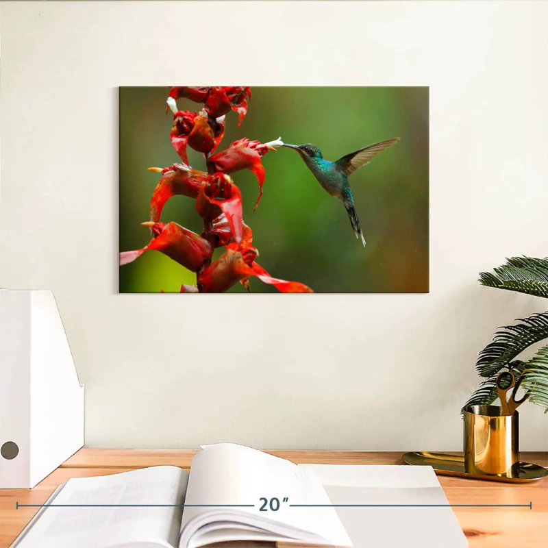 Collation de fleurs de colibri Brampt, H 8 po x l 12 po