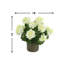 Géranium Massillon pour l'extérieur en pot de fibres-773748269-773748268