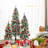 5' Lighted Pine Christmas Tree