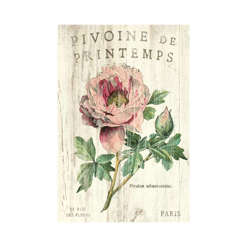 Pivoine de printemps par Sue Schlabach-impression d’art graphique, Toile tendue, H 40 po x l 26 po x P 1,5 po